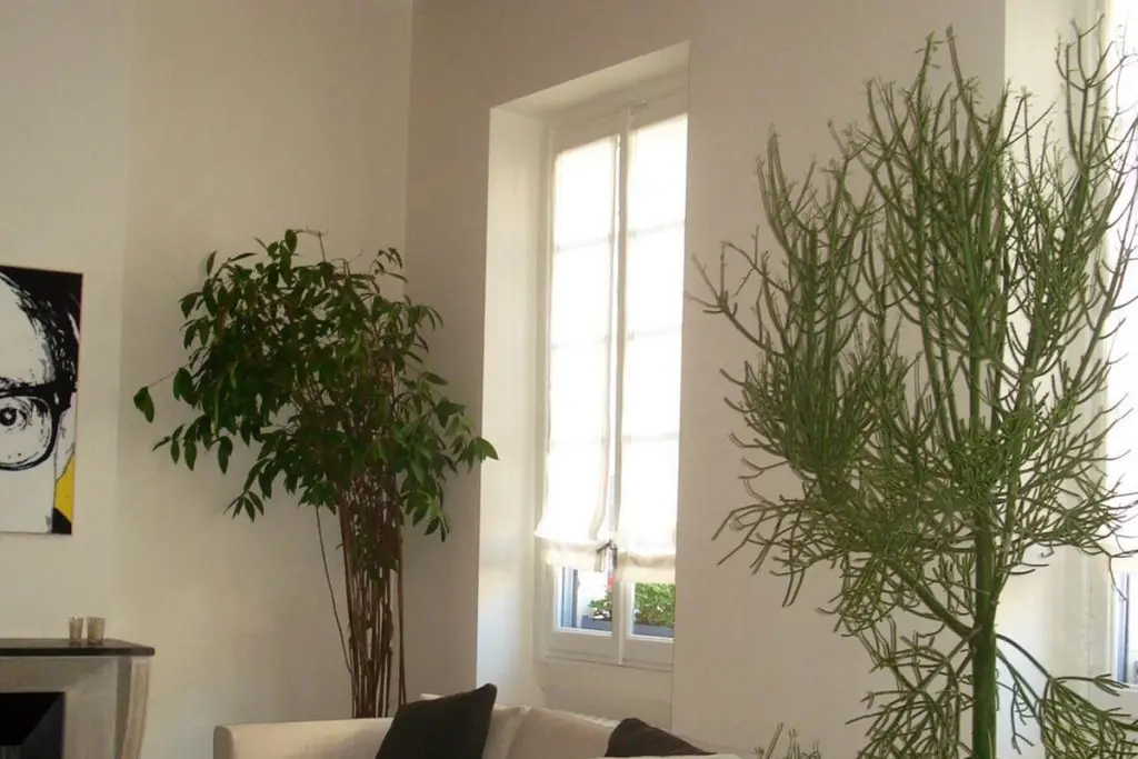 Milano-Restauri-Boccaccio-4